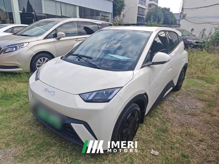 BYD Seagull Glory Edition 305km Vitality Version