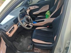 BYD Seagull Glory Edition 305km Vitality Version - ფოტო 14