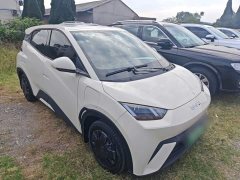 BYD Seagull Glory Edition 305km Vitality Version - ფოტო 3