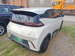 BYD Seagull Glory Edition 305km Vitality Version - ფოტო 6