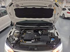 Volkswagen Polo Facelift Plus 1.5L Automatic Passion Life Edition - ფოტო 19