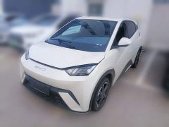 BYD Seagull Flying Edition - ფოტო 1