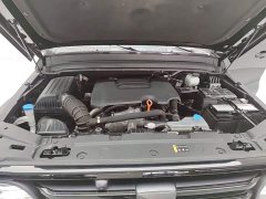 Tank 300 Off-Road Edition 2.0T Challenger - ფოტო 19