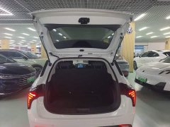 Neta V Long-Range Entertainment Edition Plus - ფოტო 18