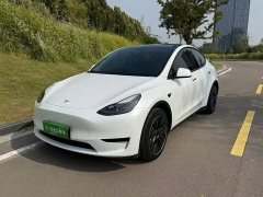 Tesla Model Y Facelift Rear-Wheel Drive - ფოტო 1