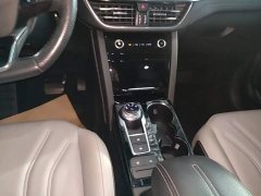 Ford Sharp 2020 EcoBoost 245 FWD Smart Deluxe Edition - ფოტო 13