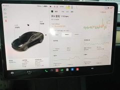 Tesla Model 3 Standard Range RWD Upgrade - ფოტო 11