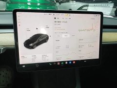 Tesla Model 3 Standard Range RWD Upgrade - ფოტო 12