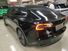 Tesla Model 3 Standard Range RWD Upgrade - ფოტო 4