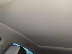 Volkswagen Magotan Facelift II Popular Edition 330TSI DSG Luxury - ფოტო 17