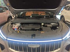Geely Boyue 2026 1.5TD Beloved - ფოტო 19