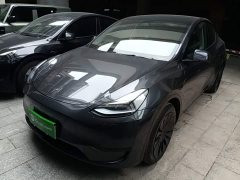 Tesla Model Y Rear-Wheel Drive - ფოტო 1