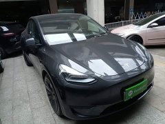 Tesla Model Y Rear-Wheel Drive - ფოტო 3