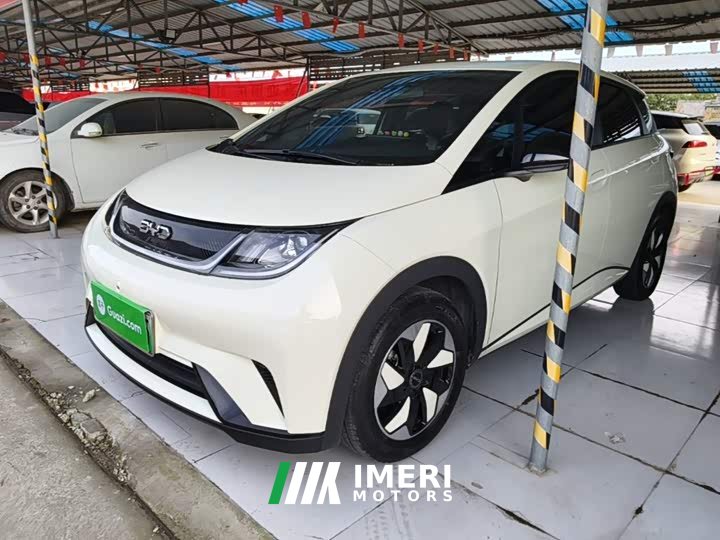 BYD Dolphin 420km Freedom Edition - ავტომობილი ჩინეთიდან