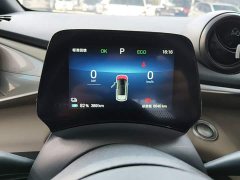 BYD Dolphin 420km Freedom Edition - ფოტო 11