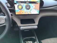 BYD Dolphin 420km Freedom Edition - ფოტო 12