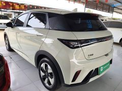 BYD Dolphin 420km Freedom Edition - ფოტო 4