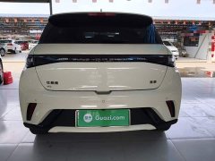 BYD Dolphin 420km Freedom Edition - ფოტო 5