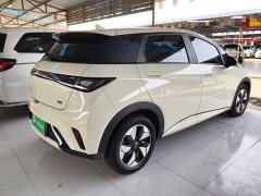BYD Dolphin 420km Freedom Edition - ფოტო 6