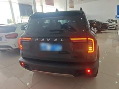 Great Wall Dachshund 1.5T DCT Two-Wheel Drive Border Collie Edition - ფოტო 5