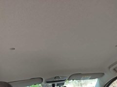 Geely Geometry E Firefly 301km Aurora - ფოტო 17