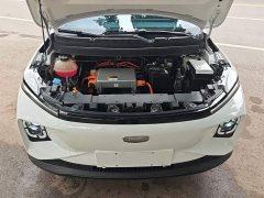 Geely Geometry E Firefly 301km Aurora - ფოტო 19
