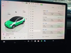 Tesla Model Y Rear-Wheel Drive - ფოტო 11