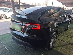 Tesla Model Y Rear-Wheel Drive - ფოტო 6