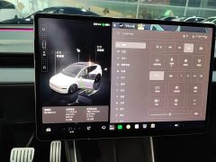 Tesla Model Y Rear-Wheel Drive - ფოტო 11