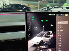 Tesla Model Y Rear-Wheel Drive - ფოტო 13