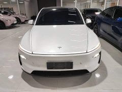 Tesla Model Y Rear-Wheel Drive - ფოტო 2