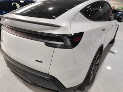 Tesla Model Y Rear-Wheel Drive - ფოტო 7