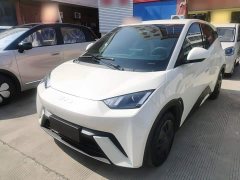 BYD Seagull 305km Vitality Edition - ფოტო 1