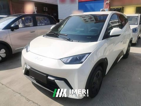 2025 BYD Seagull 305km Vitality Edition - ავტომობილი ჩინეთიდან