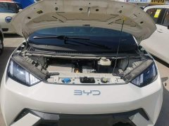 BYD Seagull 305km Vitality Edition - ფოტო 19