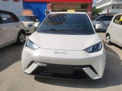 BYD Seagull 305km Vitality Edition - ფოტო 2