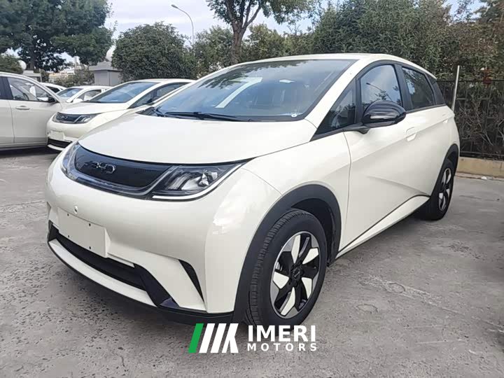 BYD Dolphin 2025 420km Freedom Edition - ავტომობილი ჩინეთიდან