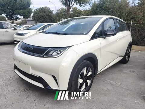 2026 BYD Dolphin 420km Freedom Edition