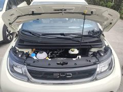 BYD Dolphin 2025 420km Freedom Edition - ფოტო 19