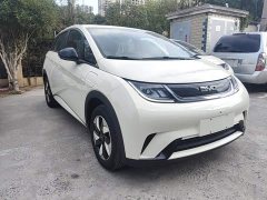 BYD Dolphin 2025 420km Freedom Edition - ფოტო 3