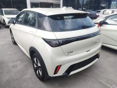 BYD Dolphin 2025 420km Freedom Edition - ფოტო 4