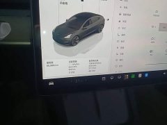 Tesla Model 3 2022 Rear-Wheel Drive - ფოტო 11