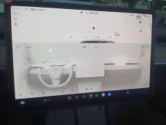 Tesla Model 3 2022 Rear-Wheel Drive - ფოტო 12