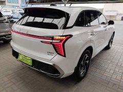 FAW Red Flag HS3 2023 1.5T Two-Wheel Drive Goodwill Edition - ფოტო 6