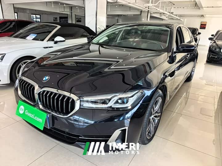 BMW 5 Series Facelift 530Li xDrive Luxury Package