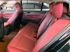 BMW 5 Series Facelift 530Li xDrive Luxury Package - ფოტო 16