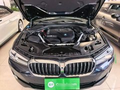 BMW 5 Series Facelift 530Li xDrive Luxury Package - ფოტო 19