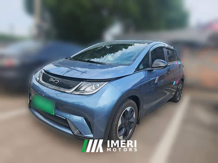 BYD Dolphin Glory Edition 420km Freedom Version - ავტომობილი ჩინეთიდან