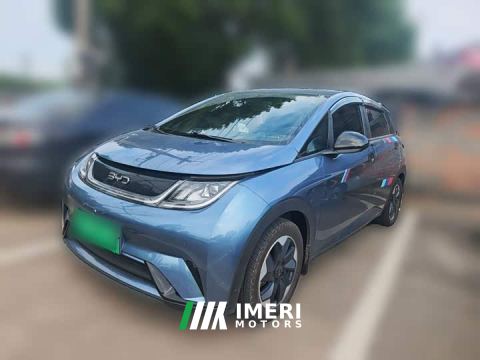 2024 BYD Dolphin Glory Edition 420km Freedom Version