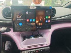 BYD Dolphin Glory Edition 420km Freedom Version - ფოტო 5